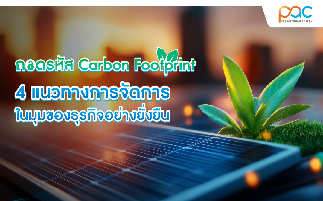 Decoding Carbon Footprint: 4 Sustainable Management Approaches for Businesses